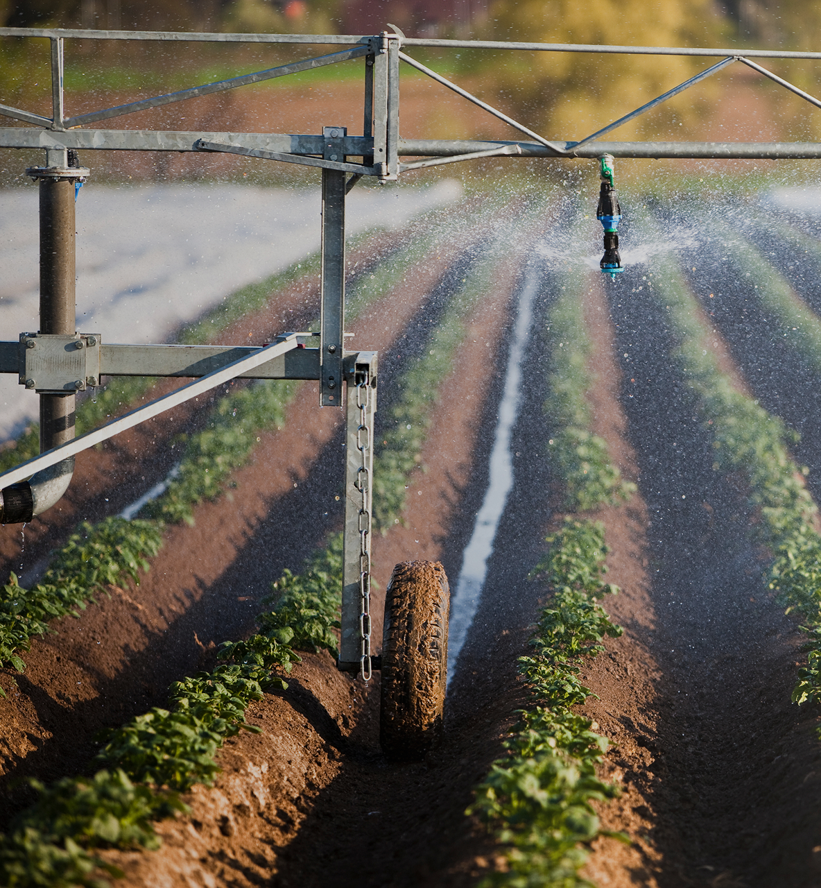 Irrigation